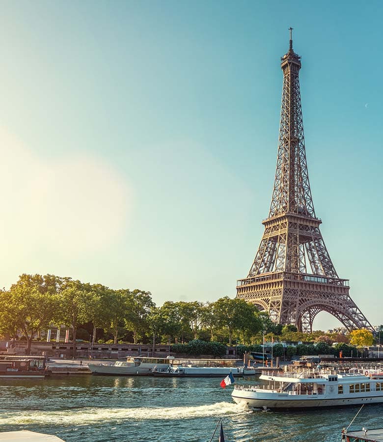 Paris Facebook Social Bee
